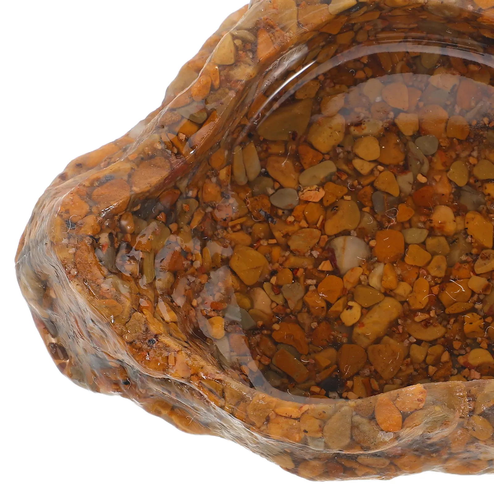 Plato de Agua para Reptiles Pe - Water Dish Reptile reseña y precio