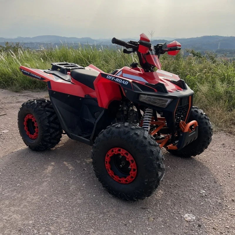 Used Quad ATV 4 Wheeler 125cc 4 Stroke Chain Drive off Road CE Certified