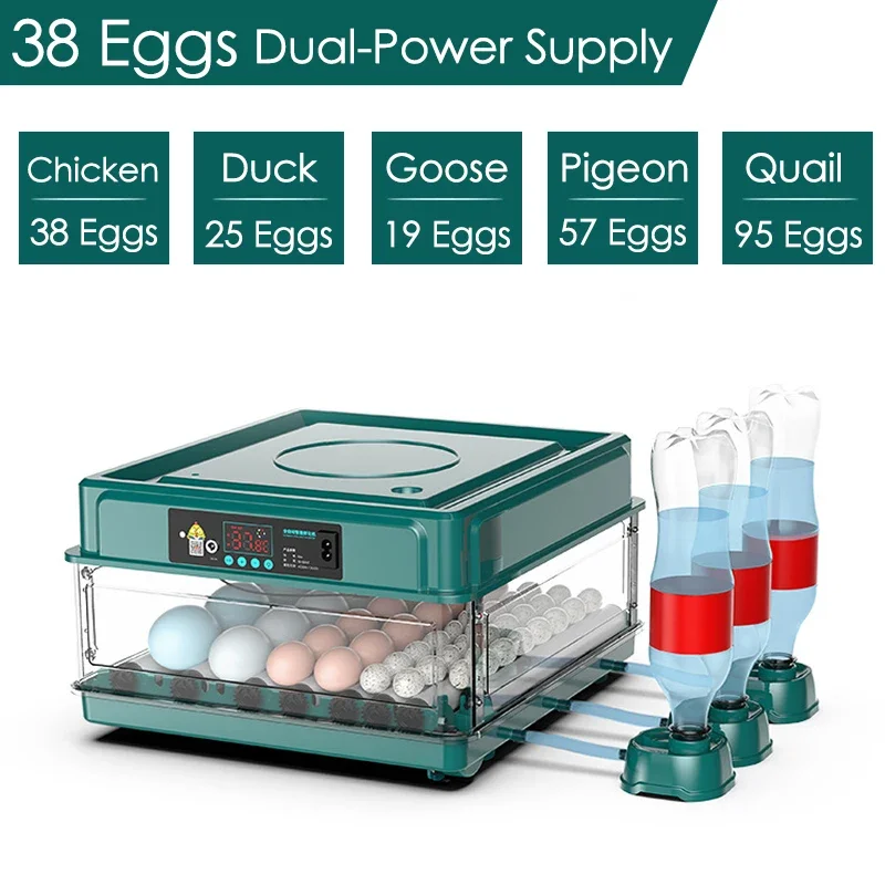 

Fully Automatic Digital Egg Incubator Digital Temp Control Incubator Farm Brooder Hatchery Poultry Tool Chicken Bird Incubator