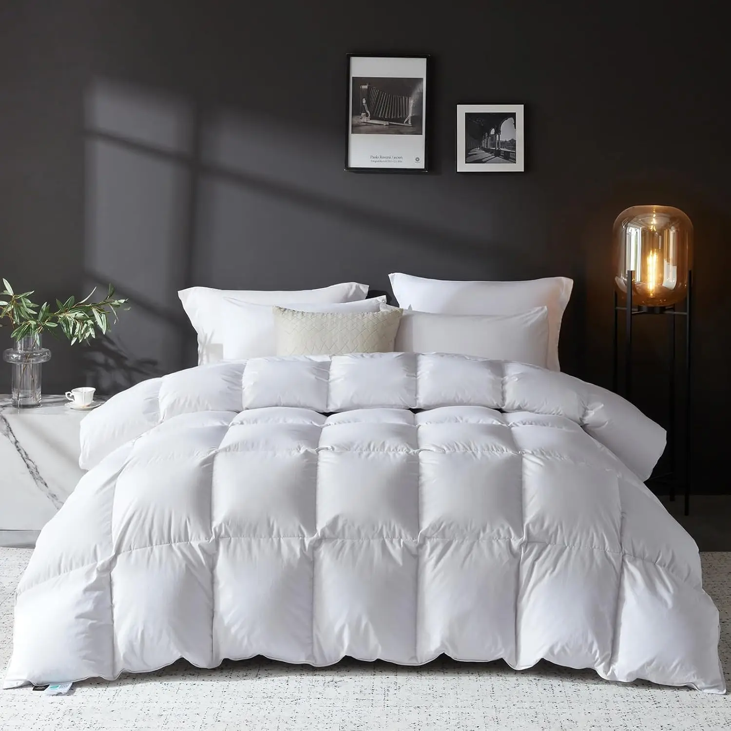 

Queen Size Goose Feather Down Comforter, 100% Organic Cotton, 1200TC, All Season White Bedding with 8 Tabs