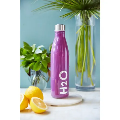 Rigging House 750 ml Damson H2O Glass Flask