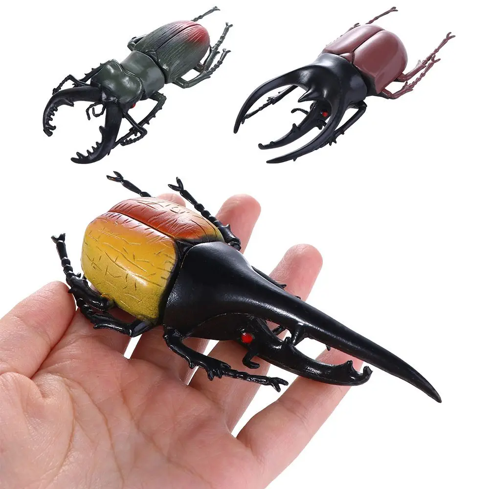 Collection Insect Toy Fake Beetle Kids Simulation Animals Simulation Beetle Special Lifelike Model Beetle Toys Insect Model