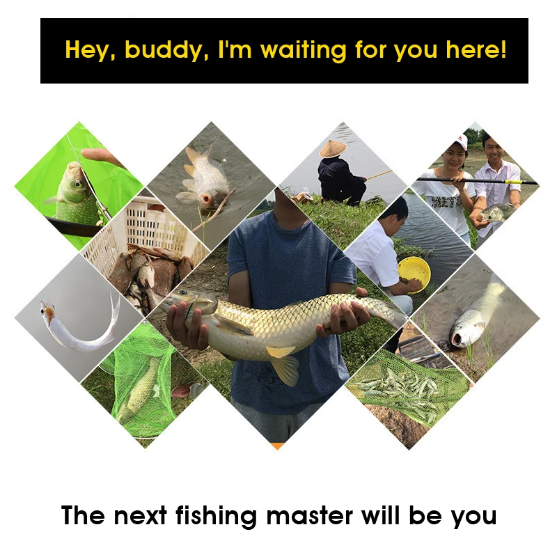 Dragon King Hate Outdoor Fishing Powder Additive Fish Bait Condition Adjuster High-Quality Pulling Powder Bottled Fishing Bait Condition Powder 250g