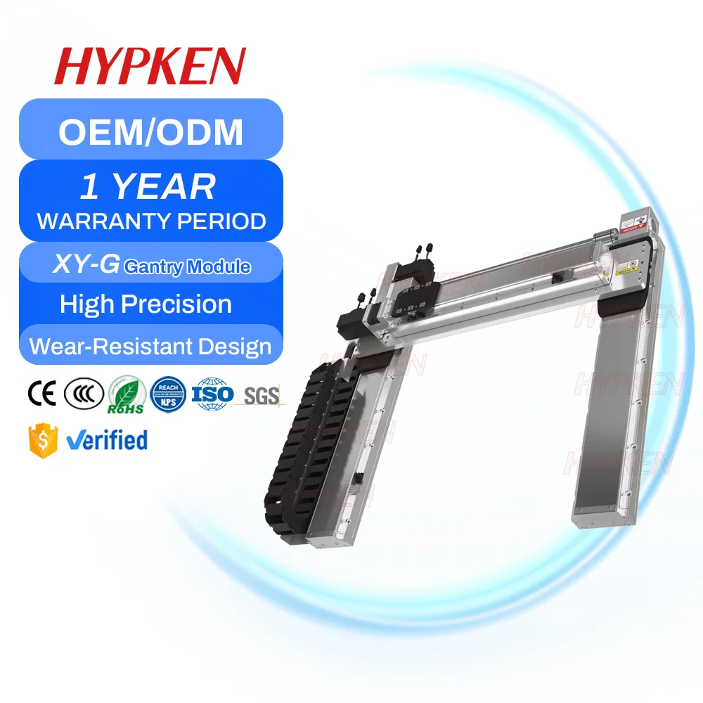3-Axis Gantry Robot  Linear Stage Linear Guideway Stainless Steel Motor PLC Customized Length 3500MM