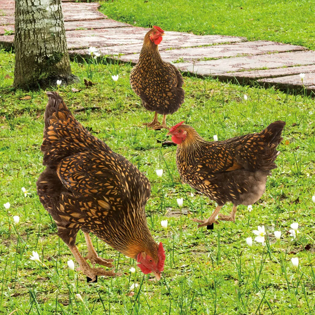 

Набор из 3 реалистичных акриловых фигурок кур для сада, декоративные украшения для двора, уличный декор для газона, вставки для оформления дворика