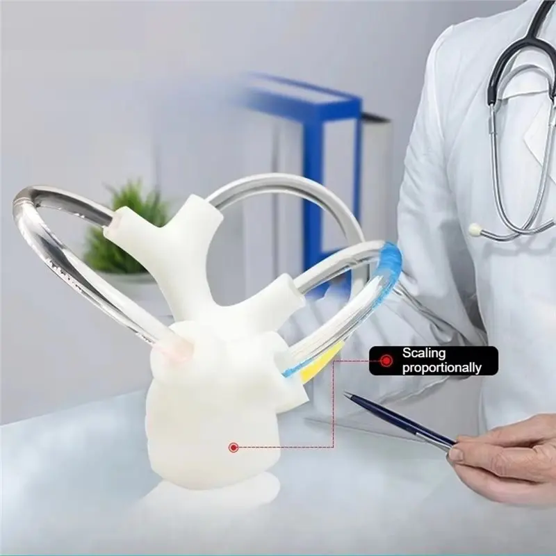 Stylish-Inner Ear Structure 3D Half Canal Otolith Dynamic Model Aids Skeleton Cochlea New Brain Nerve Vestibular Rehabilitation