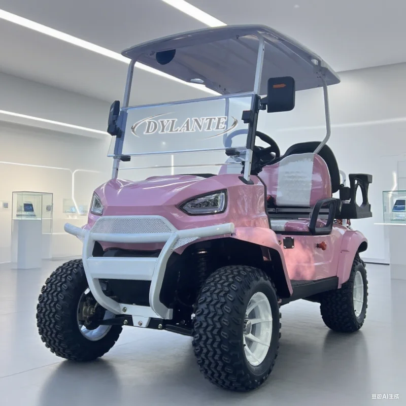 

Экскурсионная машина, patrolling, живописные места и отели 2, 4, 6, 8, 10, багги, электрическая тележка для гольфа, 72 В, литиевая тележка для гольфа