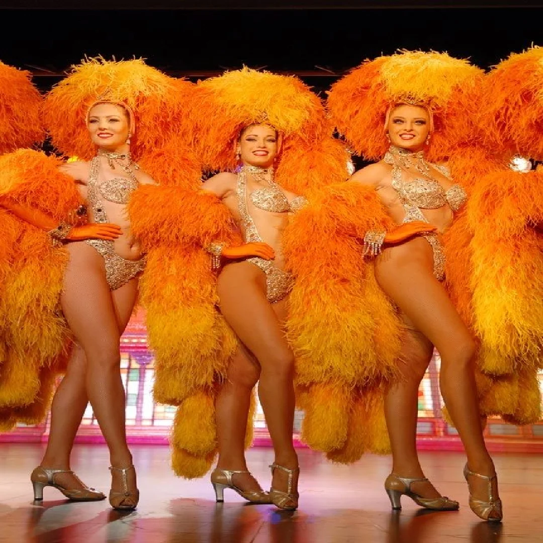 

Luxury Showgirl Ostrich Feather Boa Shawl 2Meters Long Decoration Trims for Costume Dress Skirt Sewing Accessory Multicolors