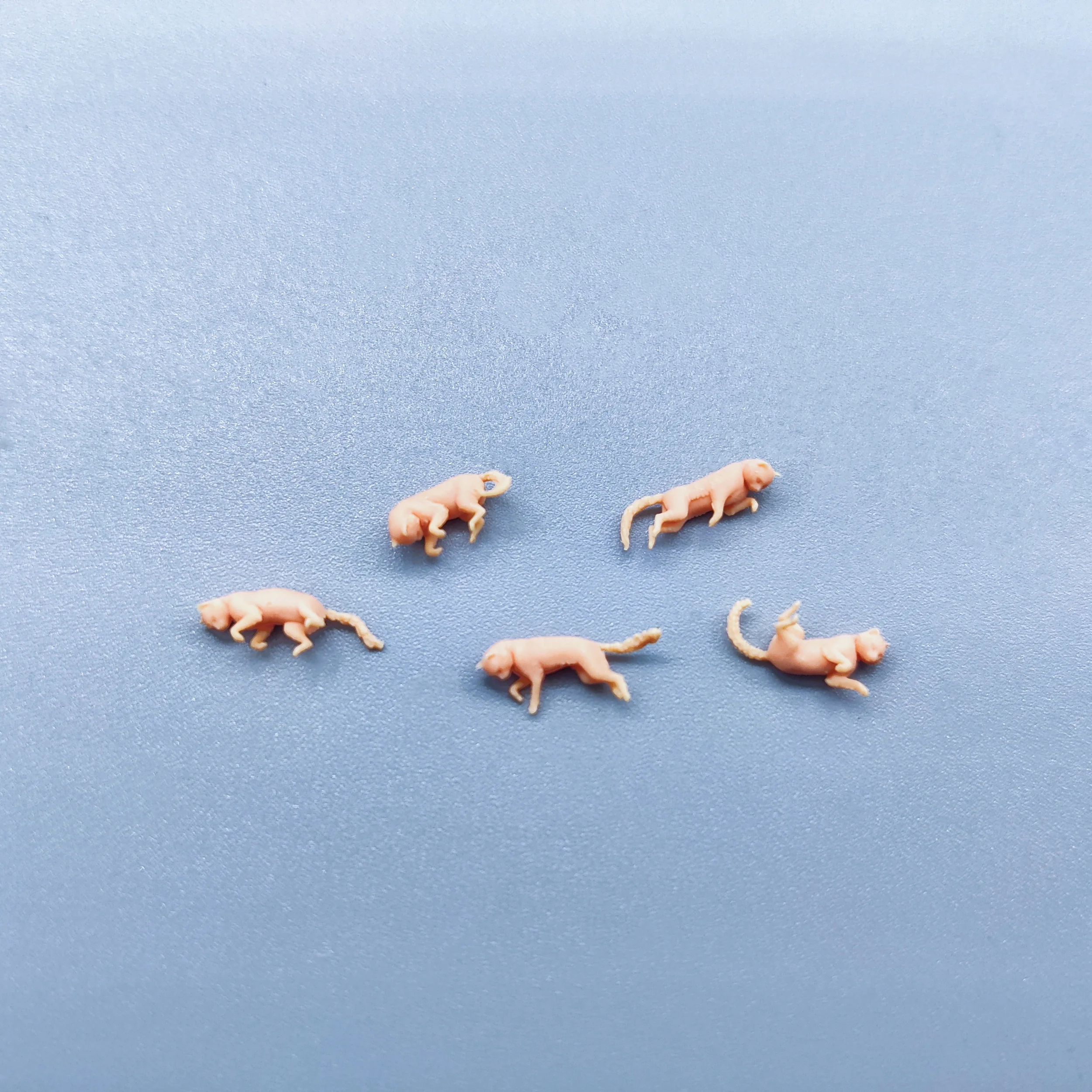 1/64 1/43 Figurines Scale Model Resin 5 Lying Lazy Cats Uncolored Miniatures Diorama Hand-painted W004