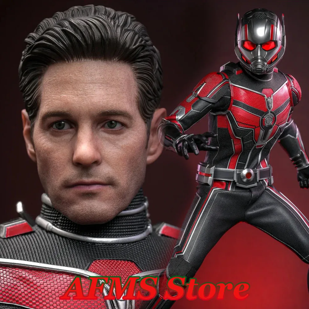 HOTTOYS MMS690 1/6 Scale Collectible Figure Paul Rudd Ant-Man and the Wasp：Quantumania 12Inch Men Soldier Action Figure Model