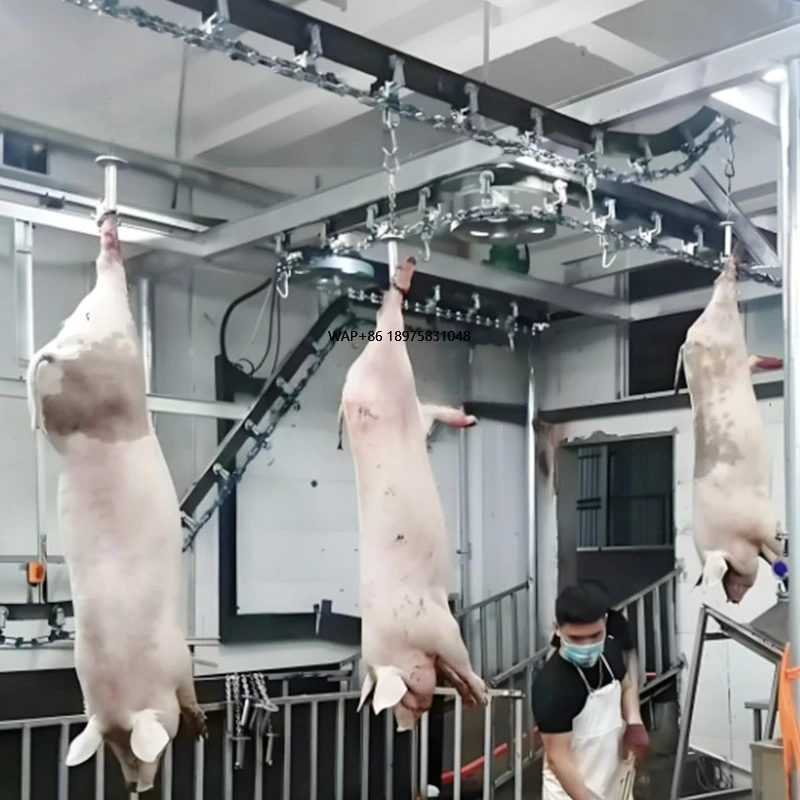 

Semi-Automatic Pig Stunning System-With Restraint Conveyor-Head Holder