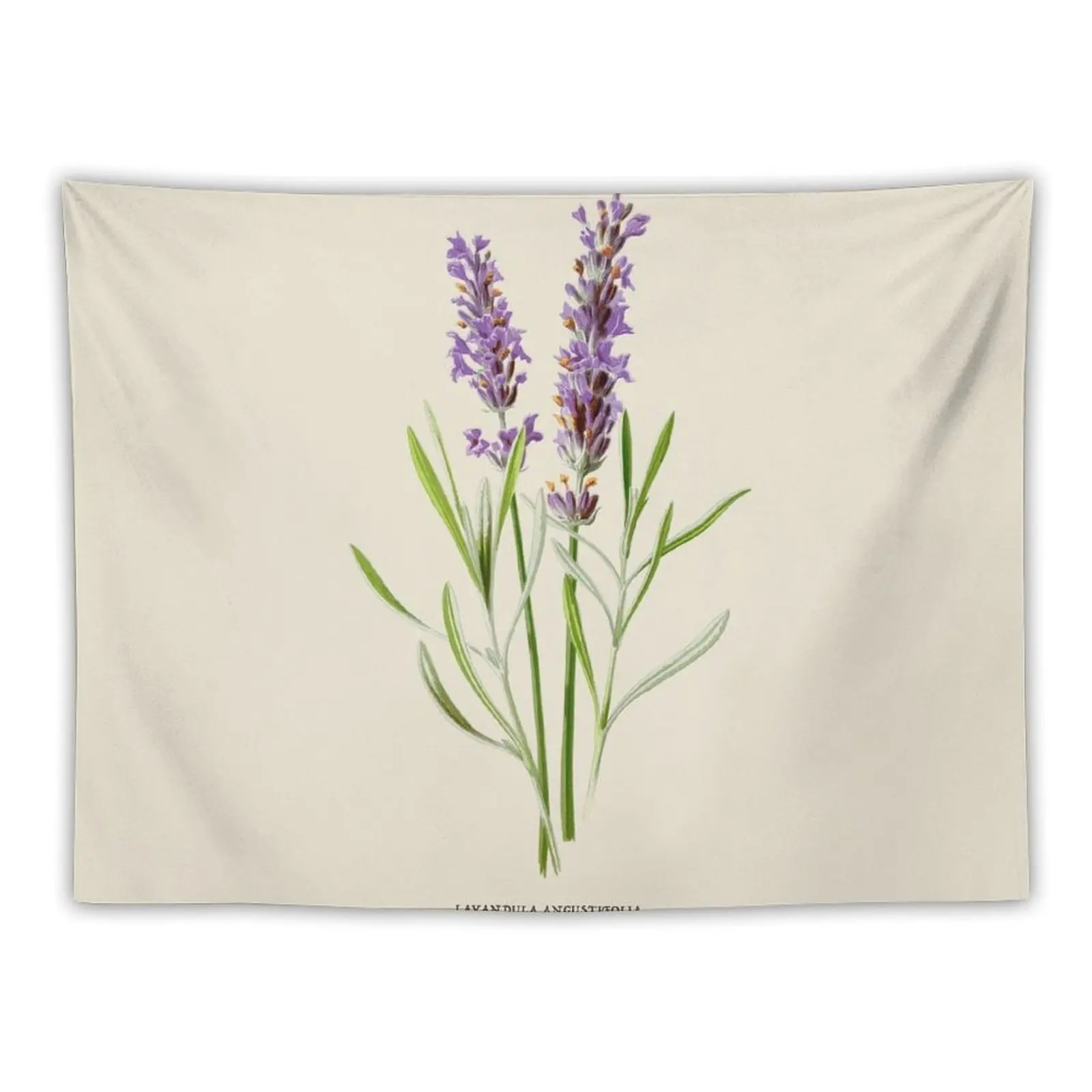 

Lavender Antique Botanical Illustration Tapestry Luxury Living Room Decoration Living Room Decoration Tapestry