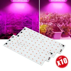 10Pcs Led Grow Light Phyto Lamp 50W No Need Drive Smart IC Floodlight SMD 2835 220V Long Service Time DIY LED Bulb Lamp