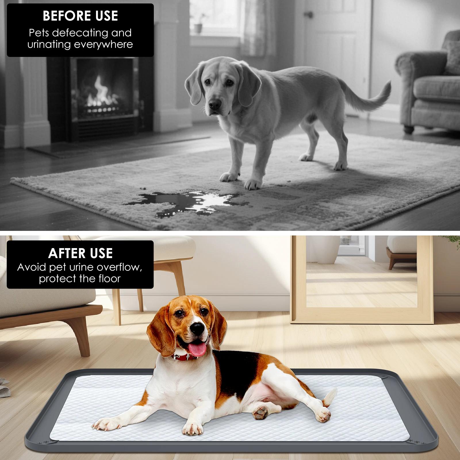 Thumbnail 3 - #19 Latest Puppy Training Offers