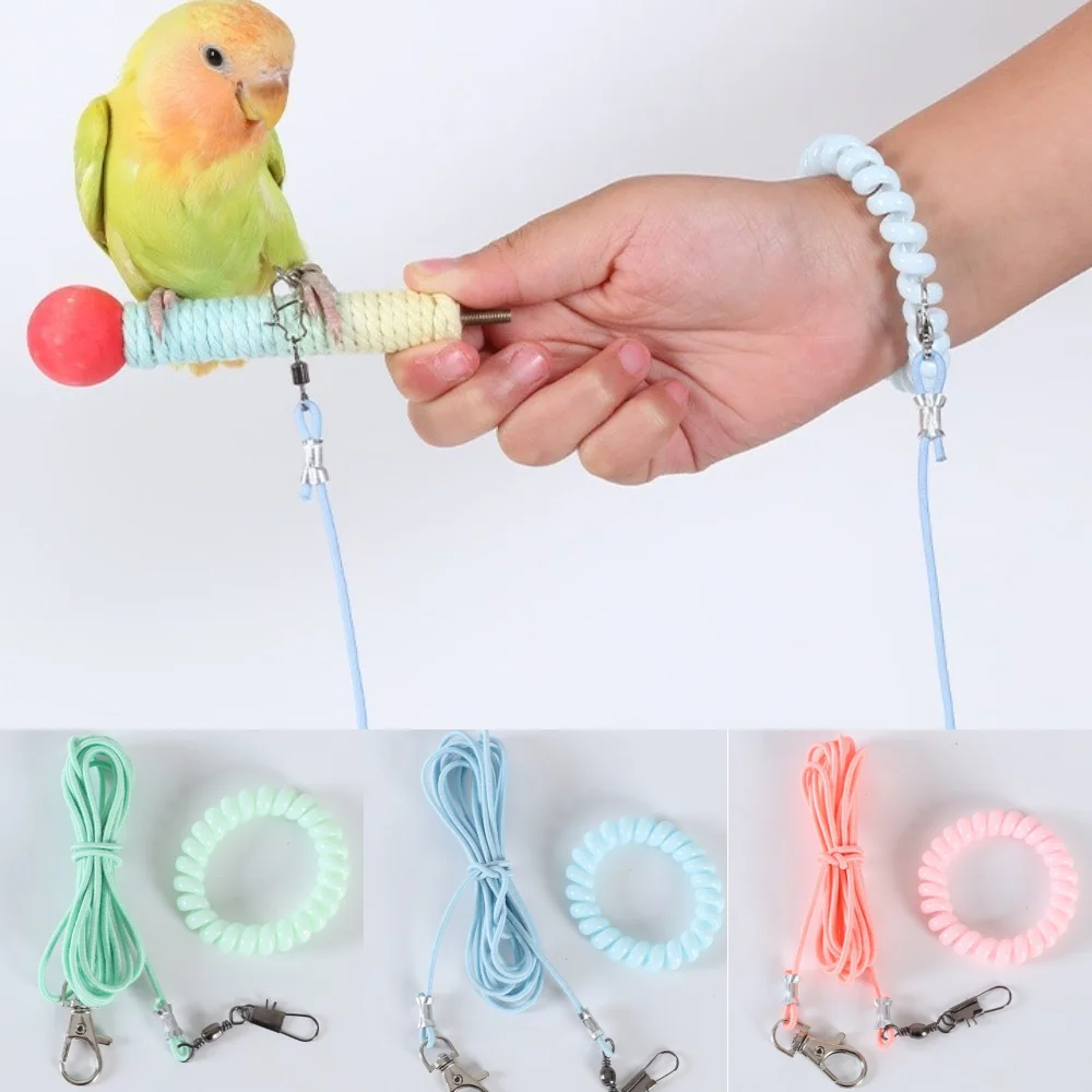 Parrot Bird Flying …