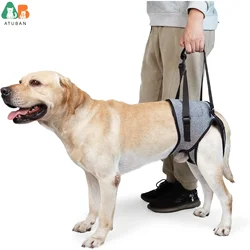 Dog Sling for Dogs Hind Leg Support to Help Rehabilitate The Hind Limbs of Elderly Dogs Weak Hind Legs Disabilities and Injuries