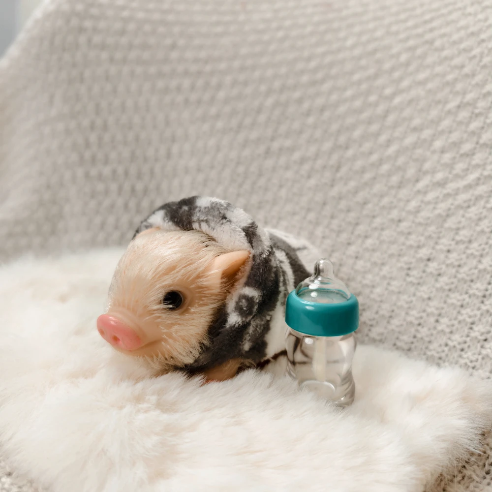 ตุ๊กตาหมูซิลิโคนขนาด 5 นิ้ว น่ารัก นุ่มนิ่ม เหมือนจริง พร้อมอุปกรณ์เสริม ตุ๊กตาหมูเหมือนจริงสำหรับเด็กแรกเกิด ของเล่นคลายเครียด ของขวัญ