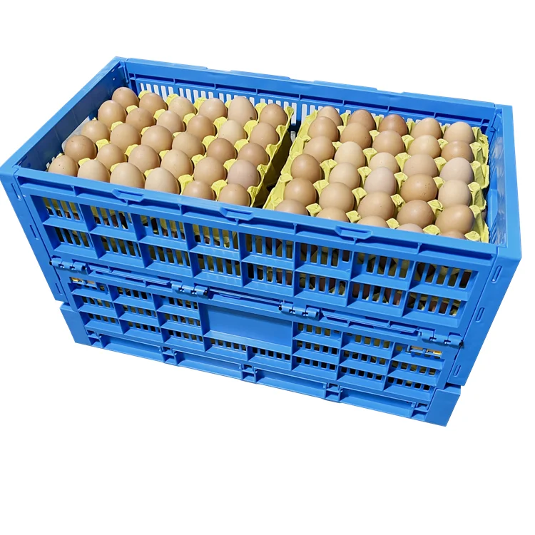 

Chinese Factory Wholesale Durable 630x330x370 Mm Collapsible Plastic Folding Egg Crate For Egg Transportation