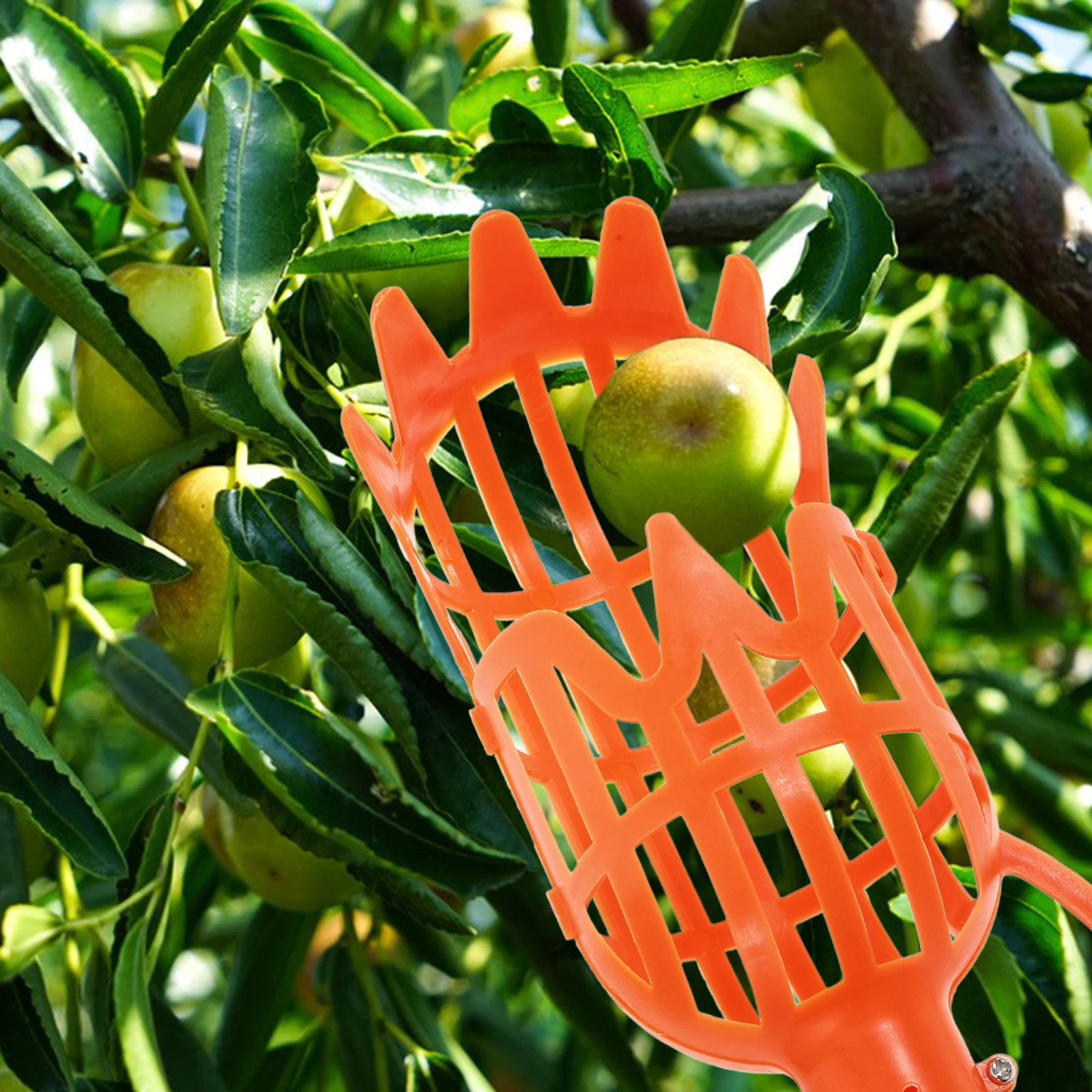 

2pcs Fruit Picker Lightweight Durable Tool for Harvesting Arbutus Pear Peach Telescopic Device Scissors Garden Supplies
