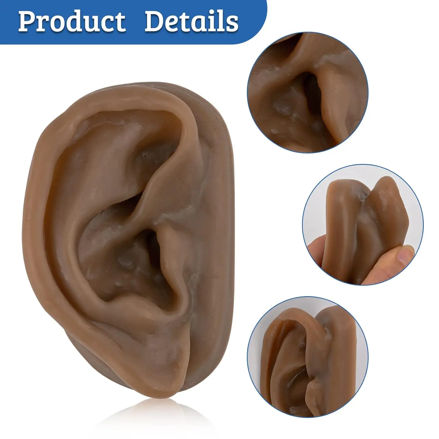 Right Artificial Ear Replica Acupuncture Ear Model Piercing Practice Hearing Aids Jewelry Display for Auricular Therapy Teaching