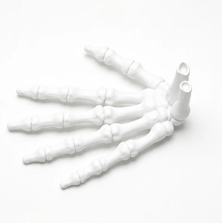 3D Print Halloween Skull Hand Joint Movable Ornaments Gift