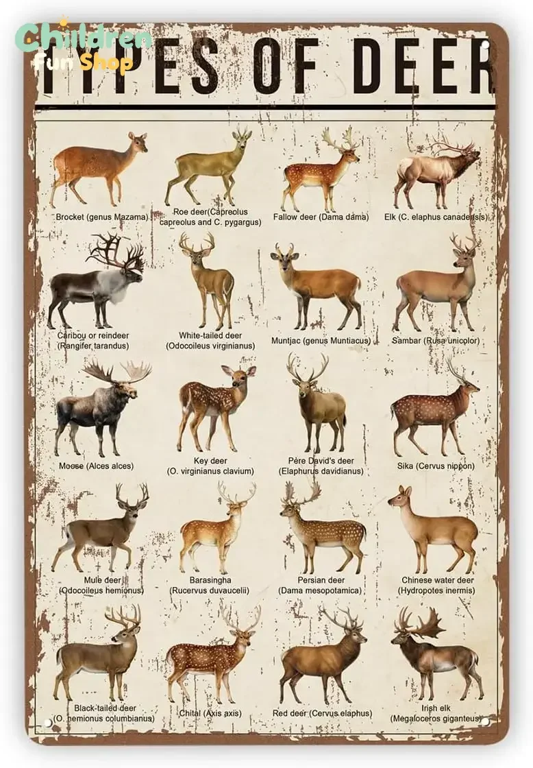 Vintage Metal Wall Sign, Types of Deer Wildlife Chart Decor, Rustic Hunting Lodge Tin Plaque, Cabin Artwork, Gift for Dad Hus