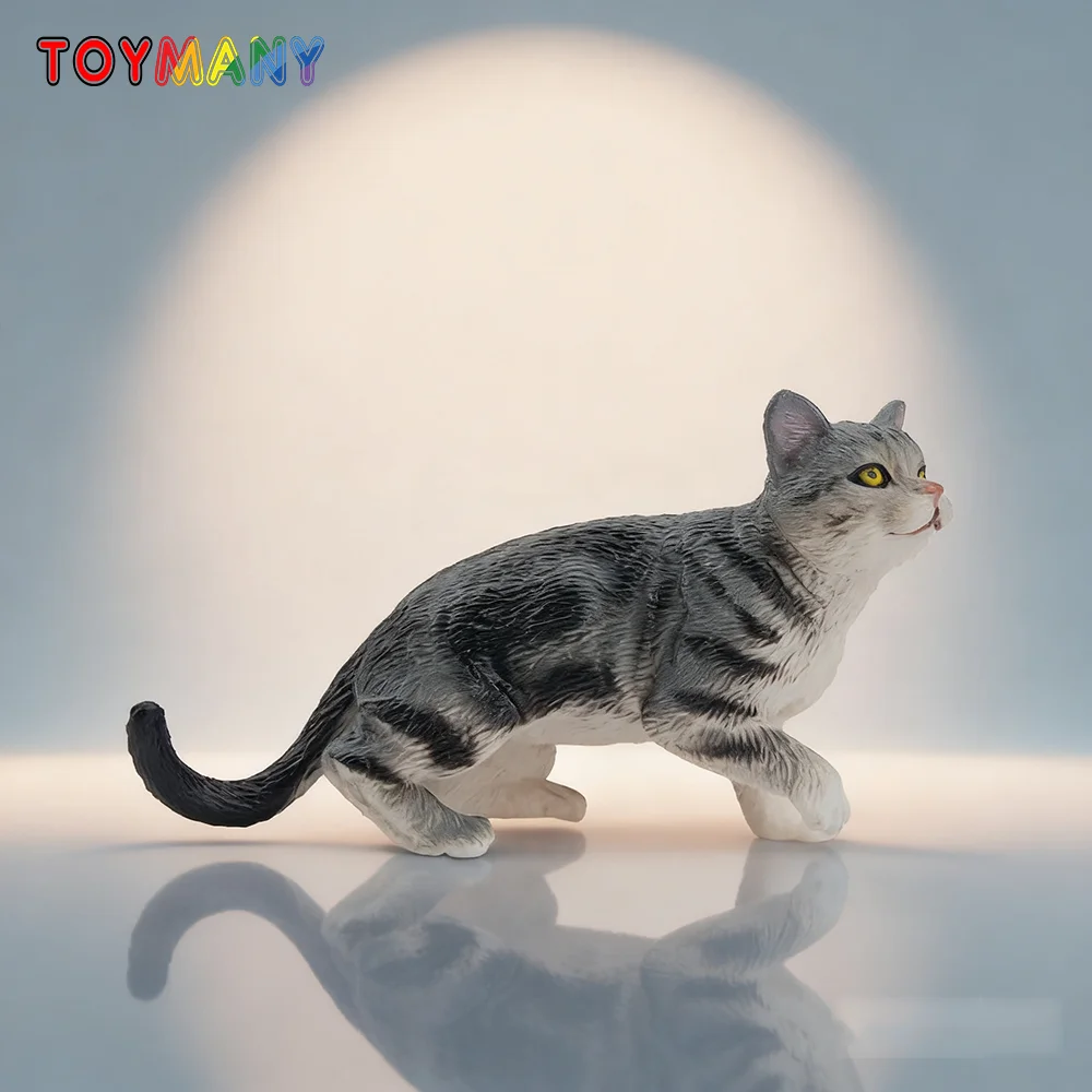 

Toymany Simulation Grey American Shorthair Cat, Pet Animal Model Educational Toys for Kids Gift, Mini Collectible Figurines