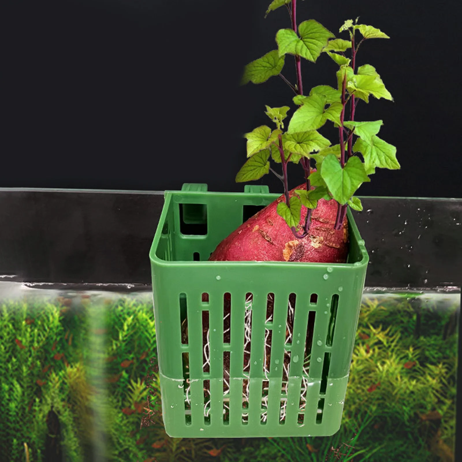 Cesta de plástico para plantas hidropônicas, 2 peças, suporte para plantas de água, copos de malha adequados para aquários, vasos de rede, cesta hidropônica