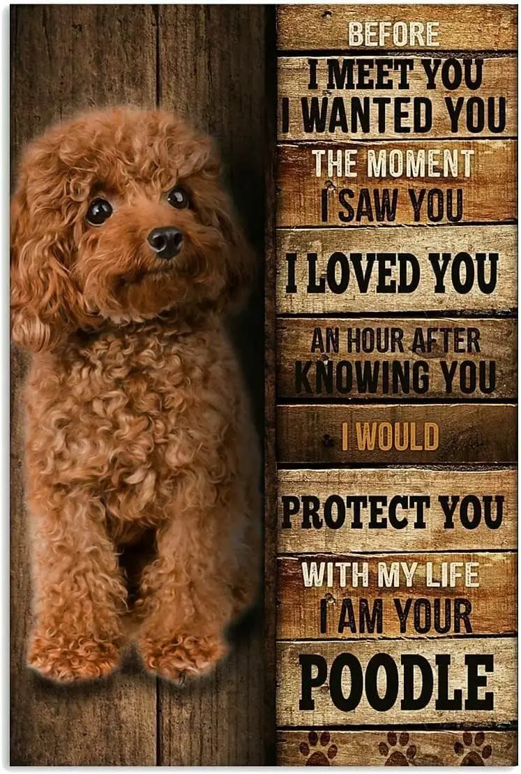 Vintage Tin Sign Metal Poster Plaque Poodle Protect You Vintage Cute Brown Poodle Dog Metal Sign Iron Painting Retro Wall D sign