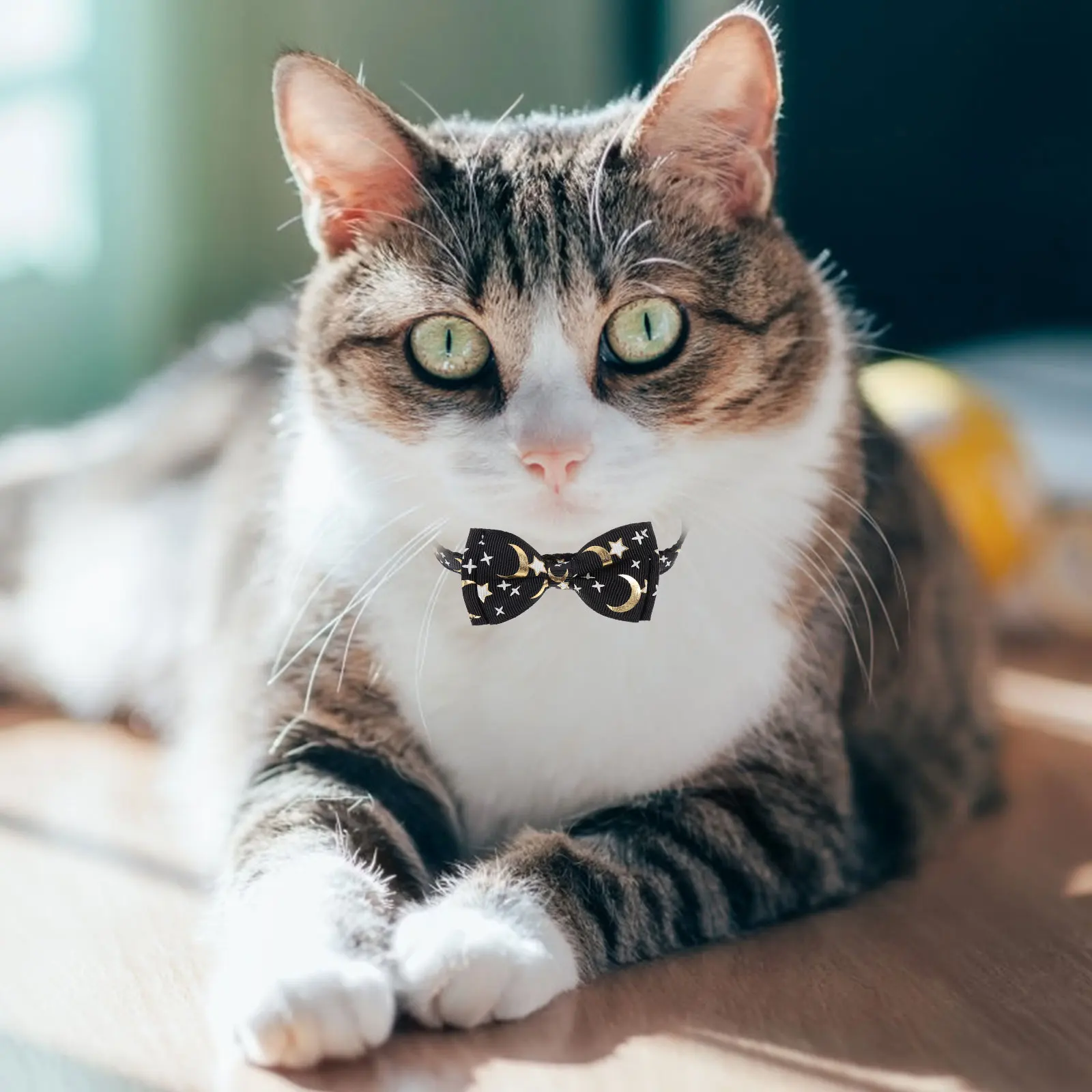 

2Pcs Adjustable Lightweight Birthday Bow-Knot Cat Collar Cat Collar With Bell Christmas Pet Accessories Storage Carry