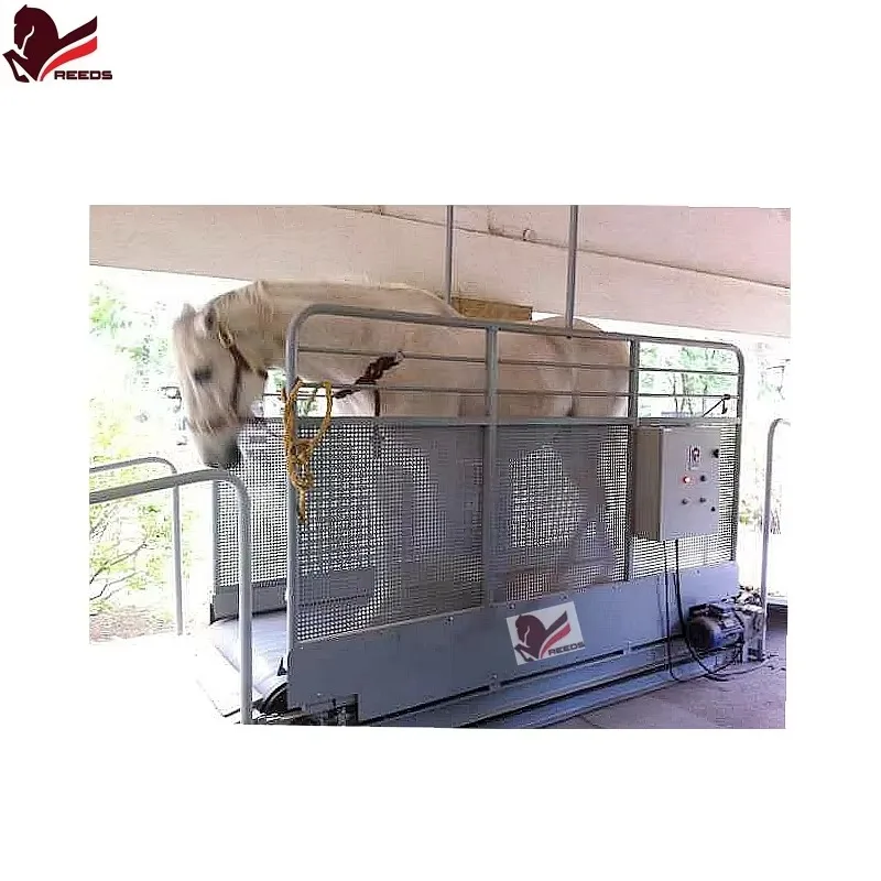 2026 CE Certified High Speed Equine Horse Treadmill Under Water Treadmill for Horse Supplies