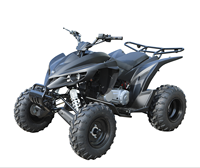 200cc Sports Quad Bike With Automatic Balance Engine Chain Drive Adult Four-wheeler For Sale Gasoline Atv