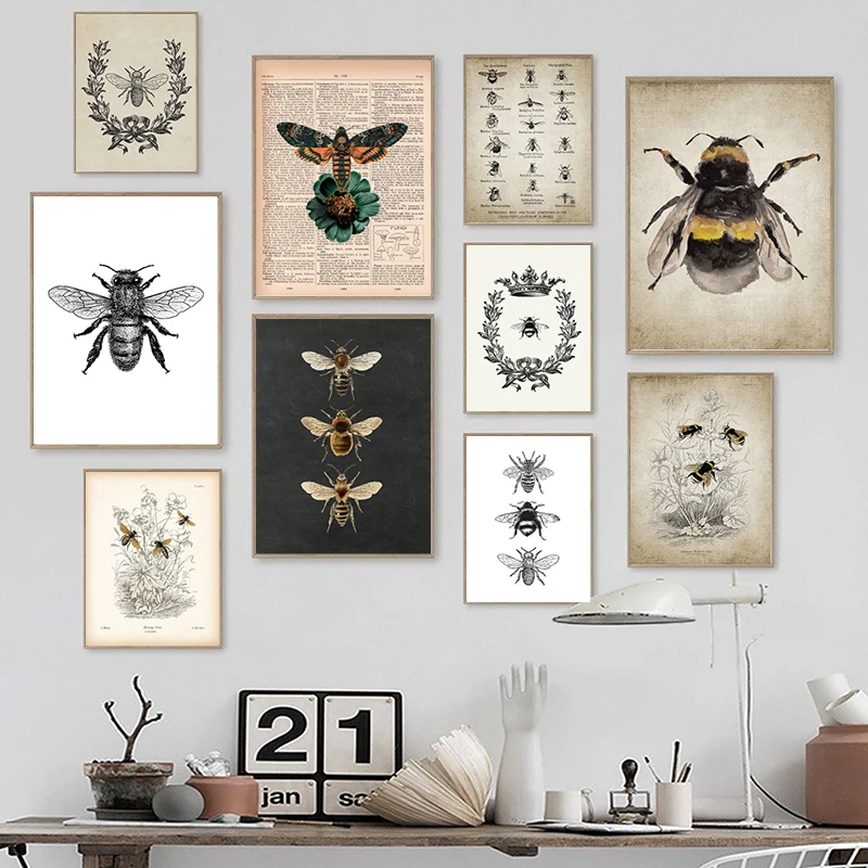 Vintage Bees Poster Bumblebees Flies Print Insect Illustration  Entomology Wall Art Canvas Painting Education Science Wall De