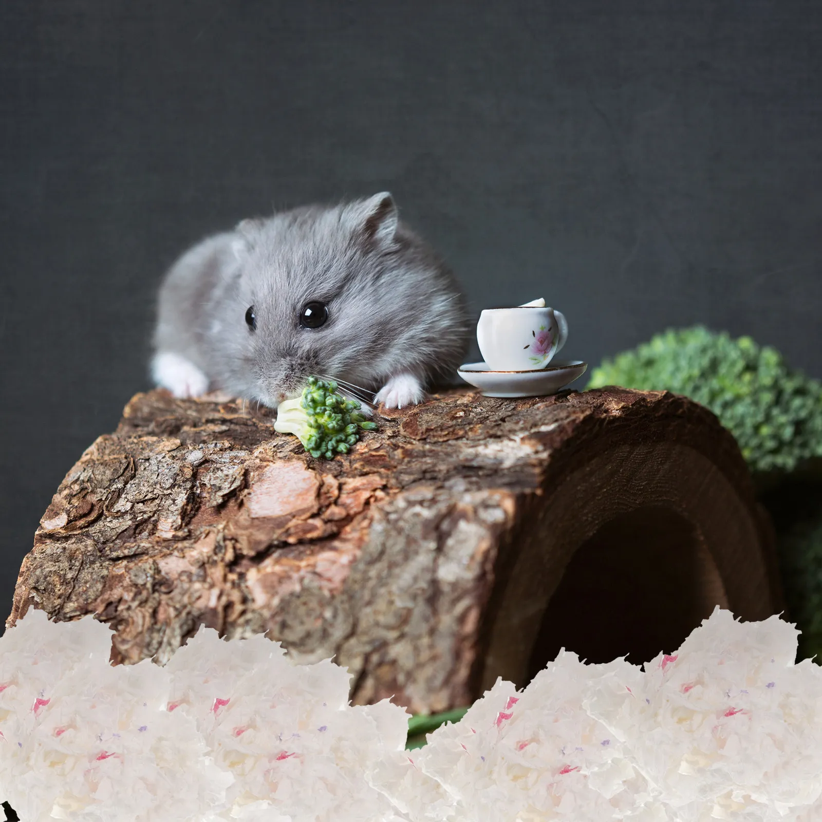 Paper-Based Small Animal Bedding – Odor-Neutralizing for Hamsters, Gerbils, Guinea Pigs, Rabbits, Ferrets & Chinchillas
