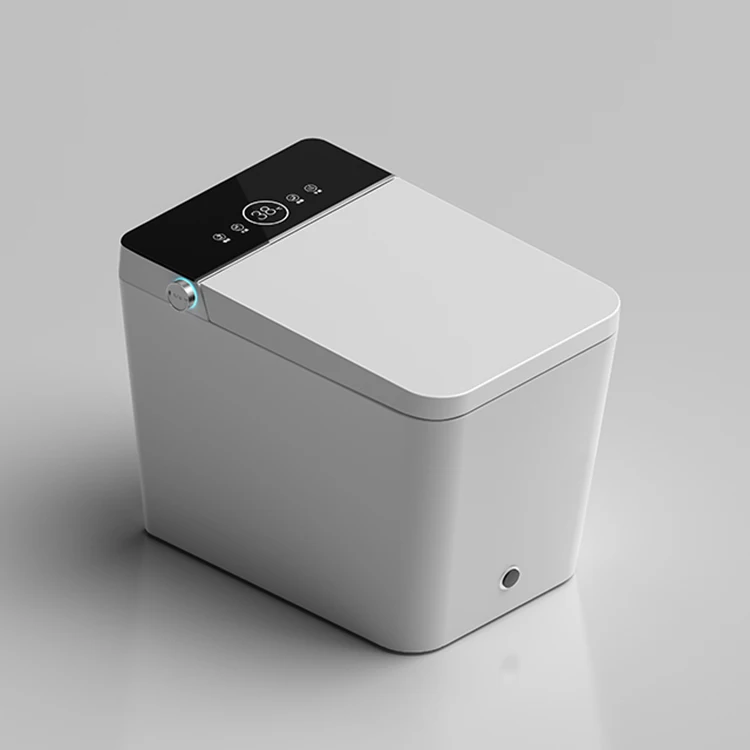 

Китай Высокое качество Piss Wc Сантехника Авто Крышка Cupc Smart Square Peep Китайский туалет