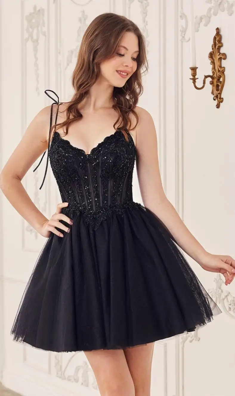 A-Line Spaghetti Strap Sweetheart Tulle Short Homecoming Dress with Lace Sleeveless Illusion Cocktail Dress Elegant