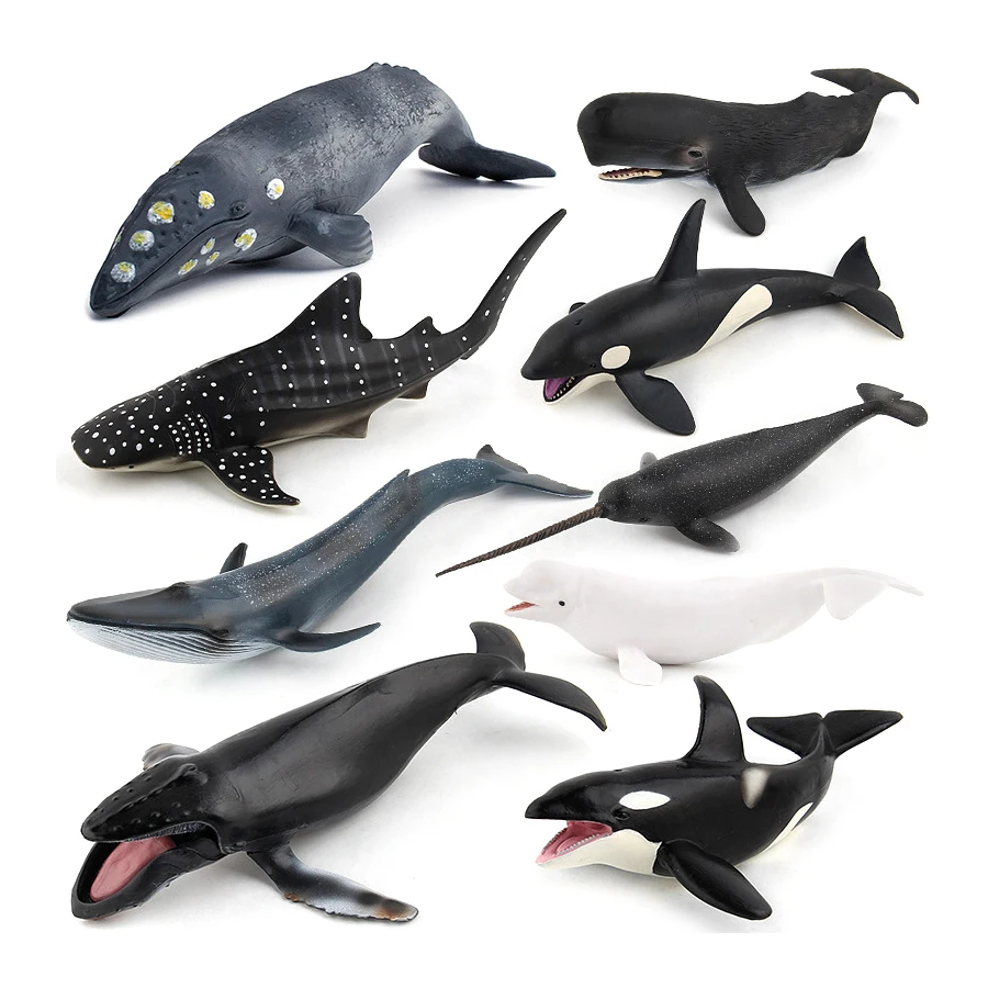 Realistic Humpback Whale Sperm Whale Narwhal Killer Whale Sea Life Animals Model Action Figures Education Decoration Toys view 2