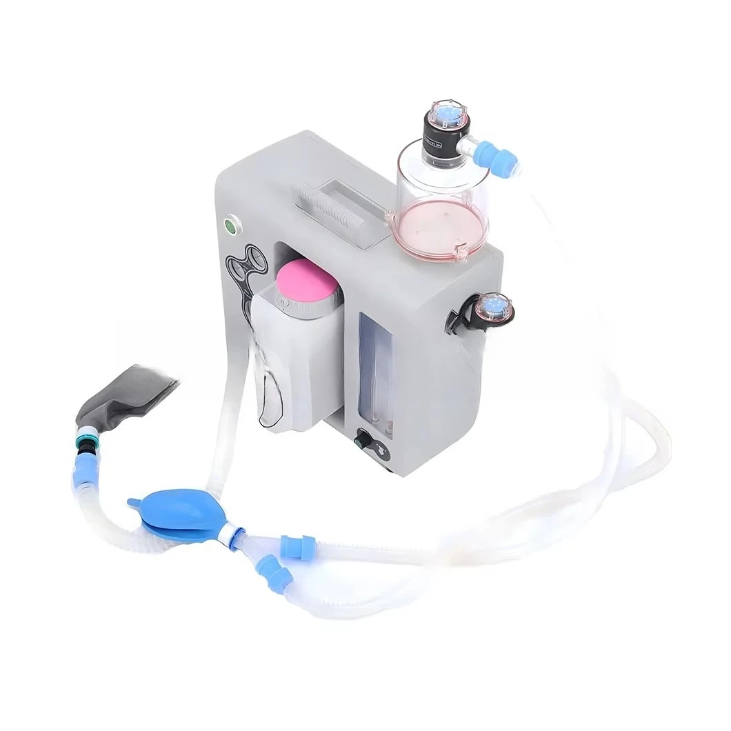 Medical Best Price Use in Veterinary and Human Anestesia Mquinas Anestetic Machine