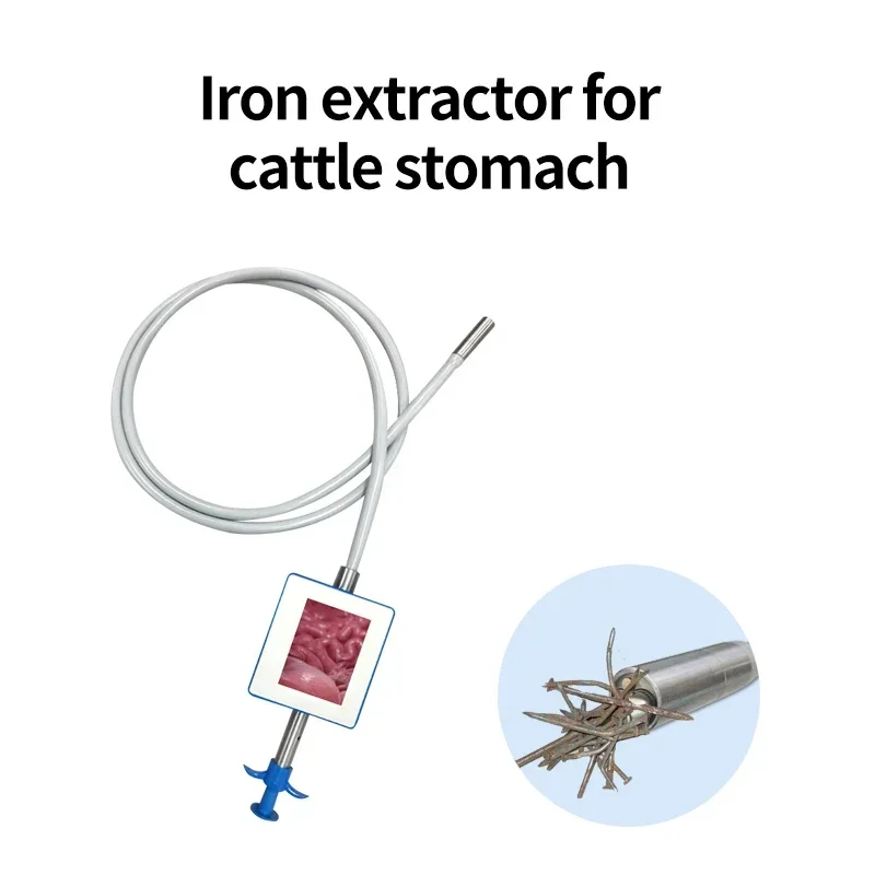 2025/Large force of magnet Strong Magnetic visual Iron extractor from Bovine stomach healthy for cattle