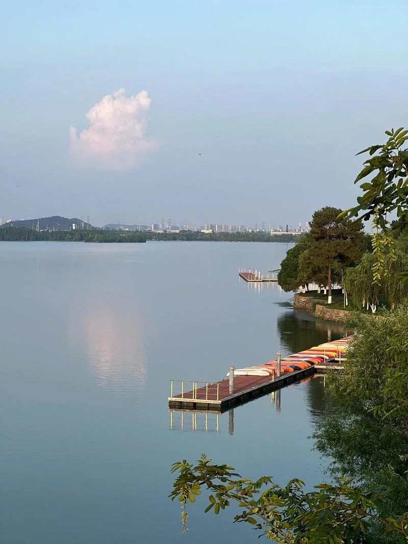 

Car Mudflaps For Tesla Model 3 X Y S 2014-2023 Front Rear Mud Flap Splash Guards Mudguards Fender Protector Racing