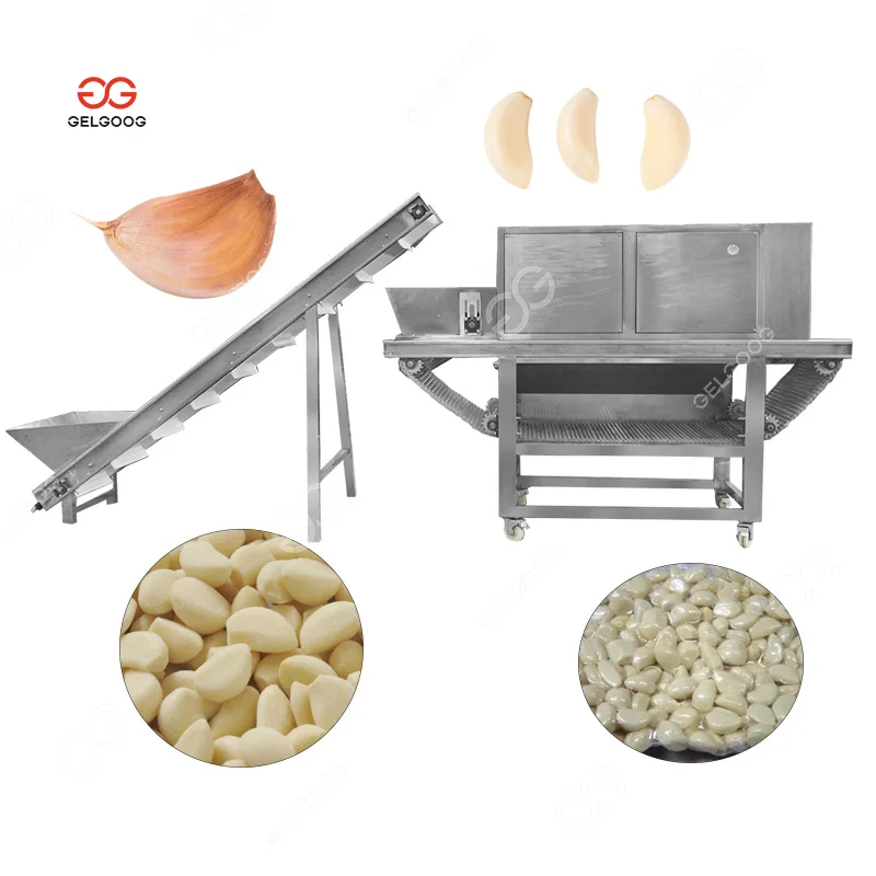 

Gelgoog Chain Garlic Repeeler Peeling Motor Garlic Peeler Skin Remove Machine