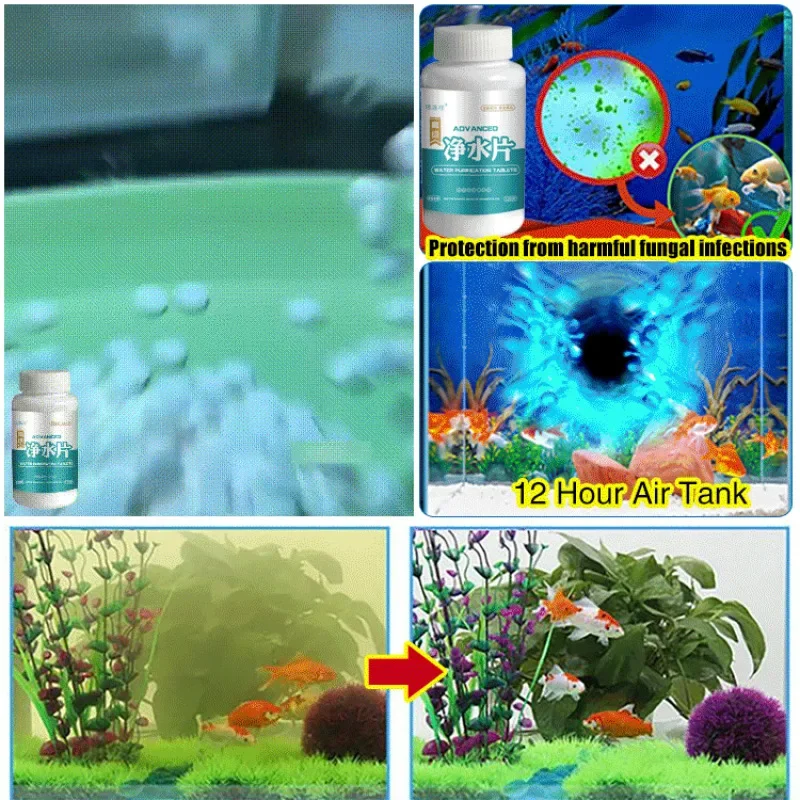 Fish Tank Algae Remover Fish Tank Water Purification Tablets Purify Water Clear Clarifying Agent Stand To Remove Odor