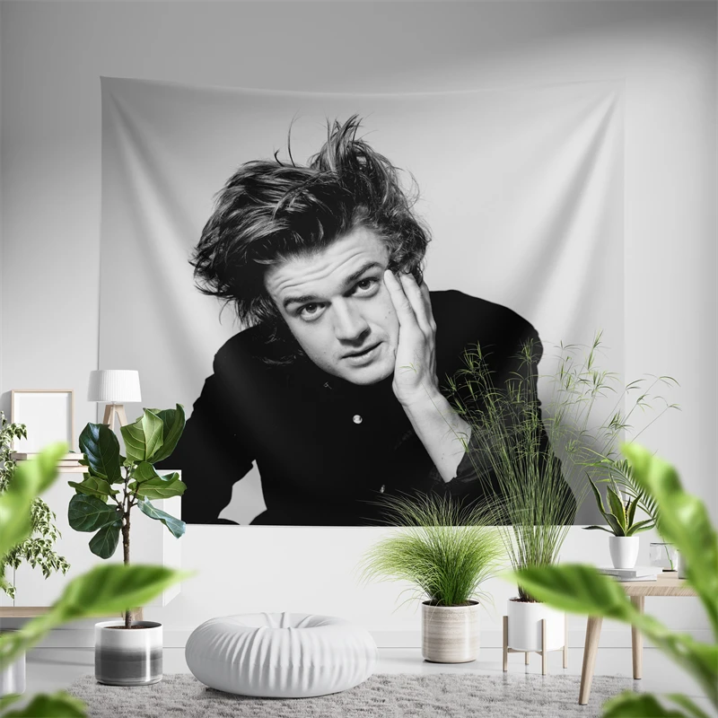 

Aertemisi Joe Keery Steve Harrington Tapestry Wall Hanging Art for Bedroom Living Room Decor Party Backdrop