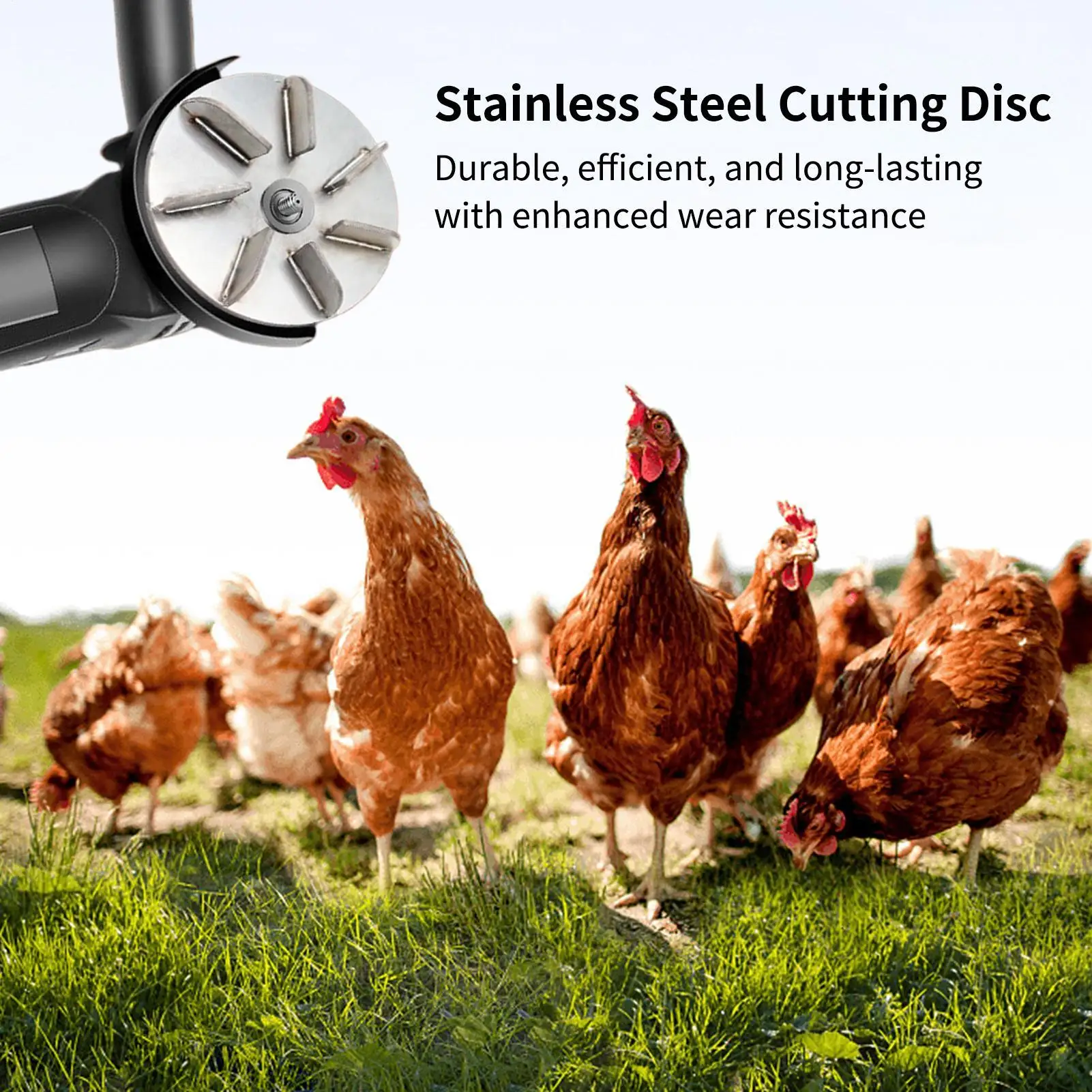 Stainless Scraper L… - image