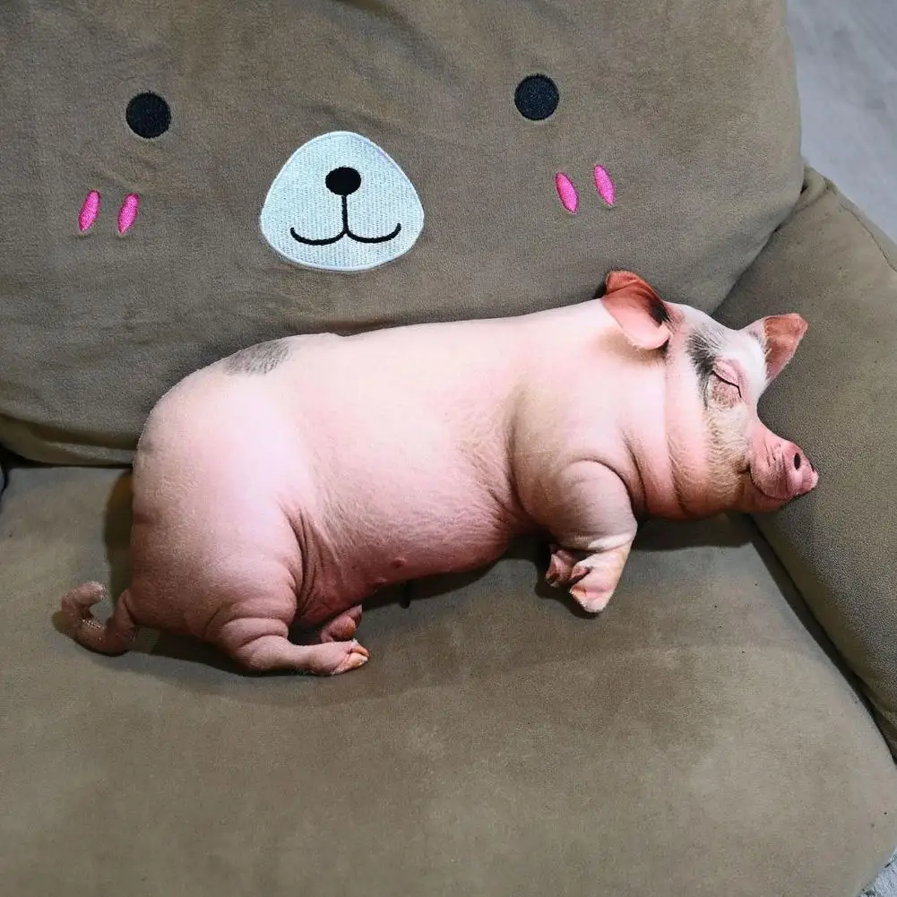Realistic Pig Plush Pillow,Funny Sand Sculpture Style Lying Pig Stuffed Animal, Ideal Office Nap Pillow & Stress Relief Buddy