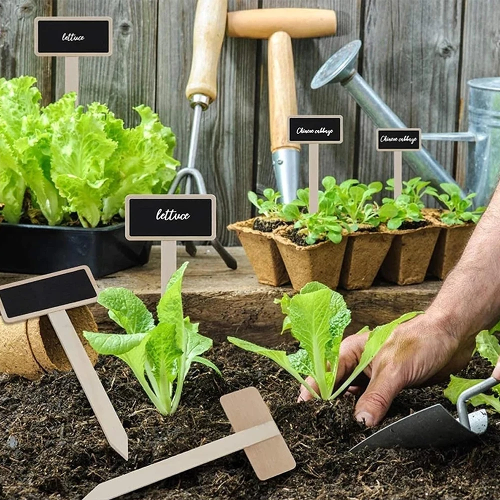 20PCS Plant Label Seed Label Pot Label Wooden Small Blackboard Flower Gardening Succulent Plant Decoration