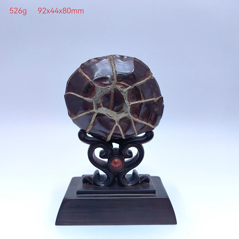 Suiseki Asian Natural Stones Room Decoration Rough Stone“Christmas Tree” Rock Meditation Piedras Decorativas Cadeau Homme Reiki