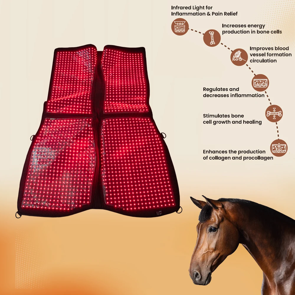 

CE Equine Therapy Wrap Infrared Therapy Pad for Horse Back and Horse Red Light Therapy Pad Popular for Horse Racing Healthcare