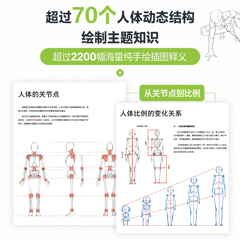 Human Anatomy For Artists Human Body Structure Principle and Painting Teaching Self-study Textbook Copy Art Collection