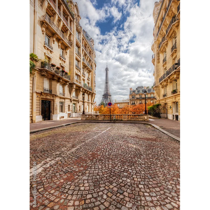 NITREE خمر الأوروبي عرض الشارع مشهد خلفيات للتصوير الفوتوغرافي الدعائم الزفاف صور الخلفيات استوديو JJD-06